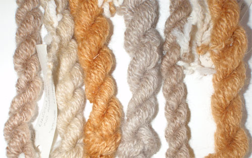 Yarns dyed with Xanthoparmelia